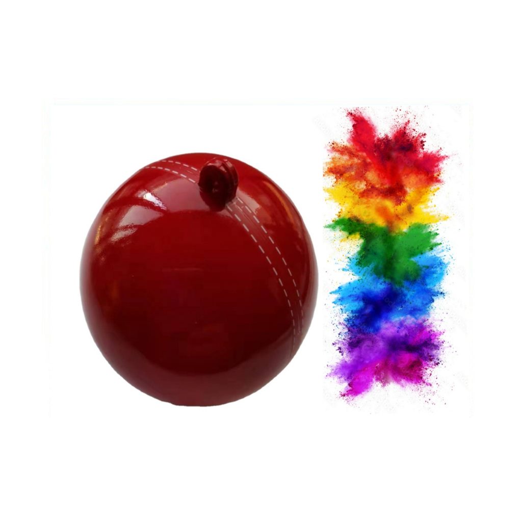 Gender Reveal Cricket Ball