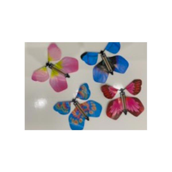 Butterfly Gender Reveal Surprise Gender Reveals Australia