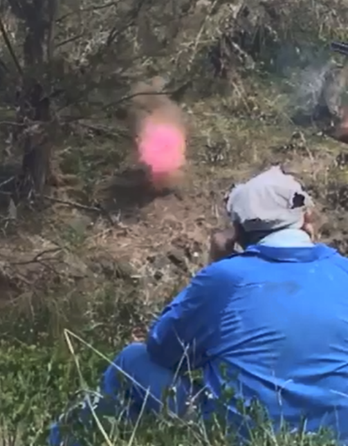 Clay Pigeon Gender Reveal Targets