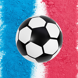 Gender Reveal Soccer Ball